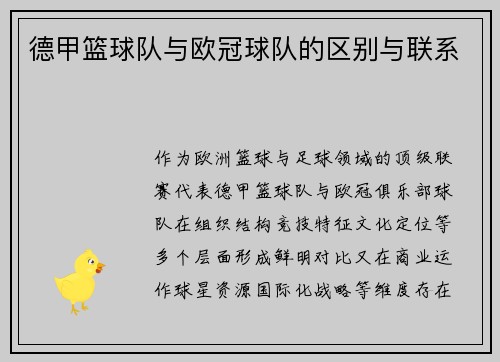 德甲篮球队与欧冠球队的区别与联系