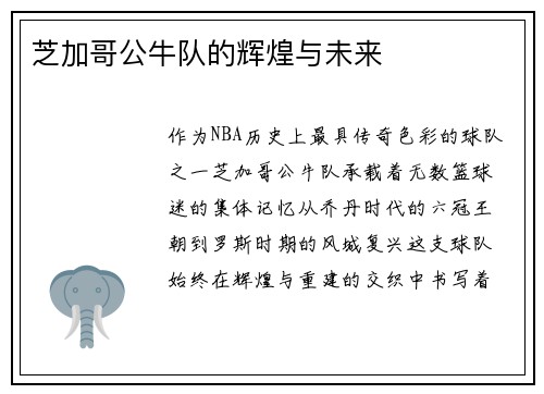 芝加哥公牛队的辉煌与未来