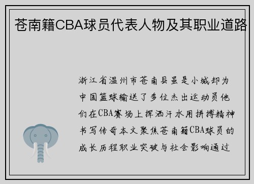 苍南籍CBA球员代表人物及其职业道路