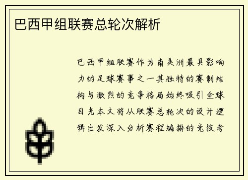 巴西甲组联赛总轮次解析